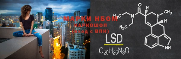 тгк Алзамай
