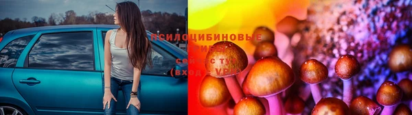 мяу мяу мука Алексеевка