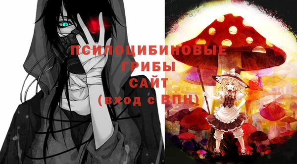 тгк Алзамай