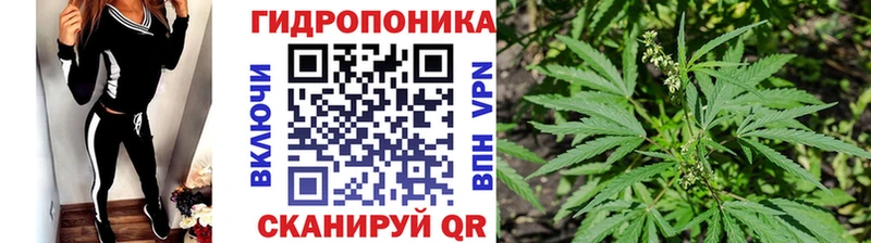 MEGA рабочий сайт  Анжеро-Судженск  Шишки марихуана сатива 